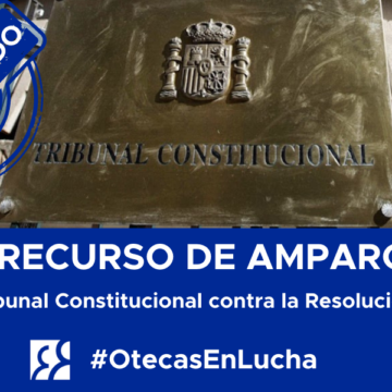 Otecas presenta recurso de amparo ante el Tribunal Constitucional